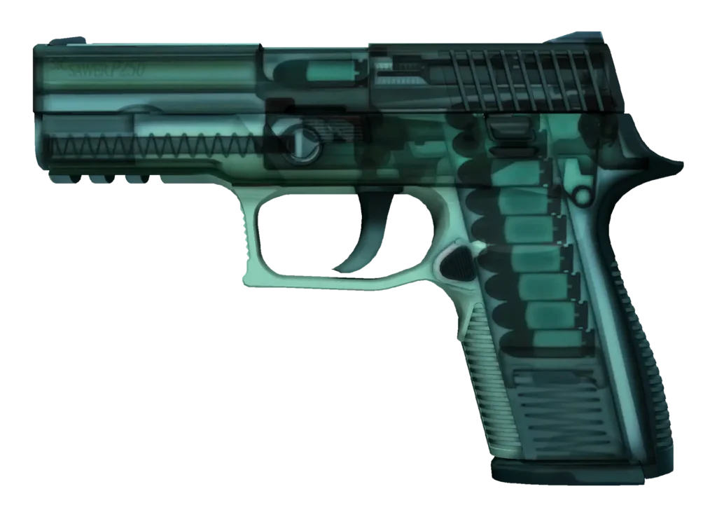 P250 | X-Ray CS2 skin