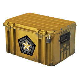 gamma 2 cs2 case
