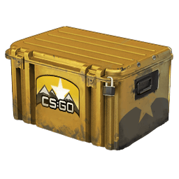 horizon cs2 case