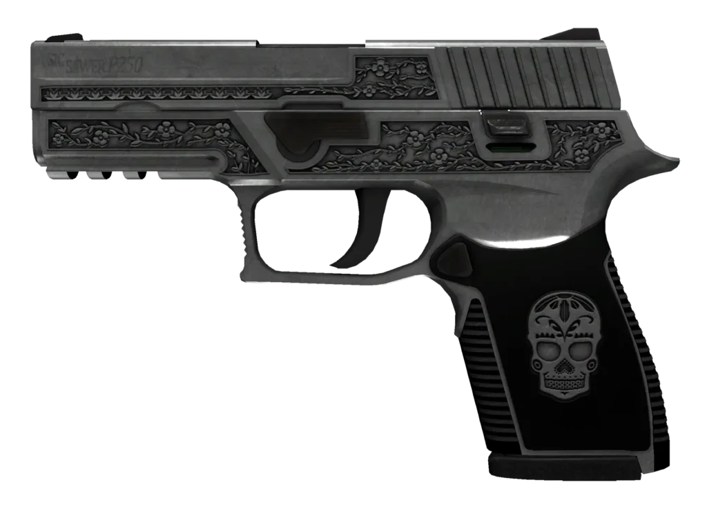 P250 | Cartel CS2 Skin