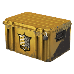 shadow cs2 case